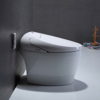 555 Wall Hung Toilet Dimensions Intelligent Automatic Flush Mounting Smart With Warm Seat Auto Open Hot Sale Bidet Heated