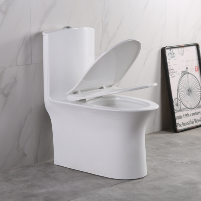 555 European Dual Flush Toilet Square One Piece Wc Toilets With Washing System Bowl Seats One Wholesale Price Sink