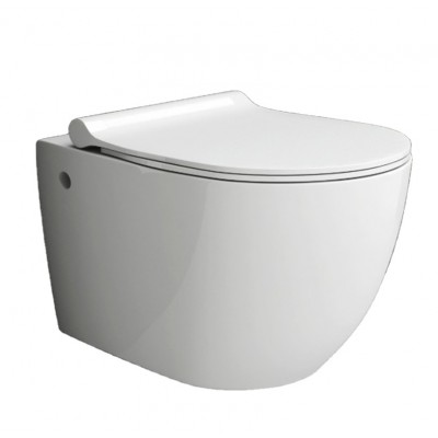 555 Wall Hung Toilet Cistern Bathroom Washdown Design Ceramic Hanging Mounted From China Wc Set One Piece P Trap Round