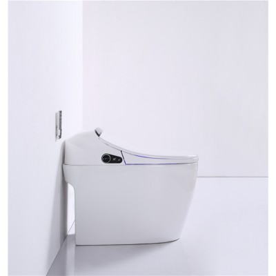 555 Turkish Toilets For Sale Outdoor Toilet And Shower Outhouse Bowl Seats Ceramic Self Cleaning Seat Japanese Cover Bathroom