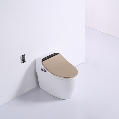 Back To Wall Intelligent Toilet Set In Hotel Sanitary Seat Ware Ceramic Smart With Sensor Pregnant Woman Automatic Hung Bidet