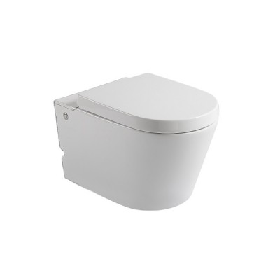 555 Wholesale Rimless Wall Hung Toilet Rimle Water Closet Sanitary Ware White And Washdown Flushing Wc Concealed Cistern For