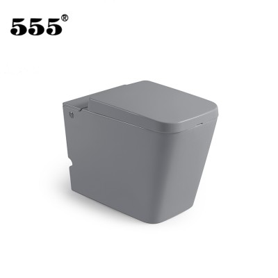 555 Direct Manufacturer Wholesale Price High Quality Wc Ceramic Toilet