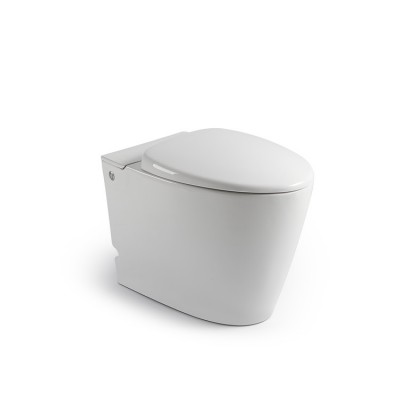 555 Prefabricated Toilet Seat Close Coupled Round High End Floor Mounted Toilets Pots Luxurious Bathroom Offer